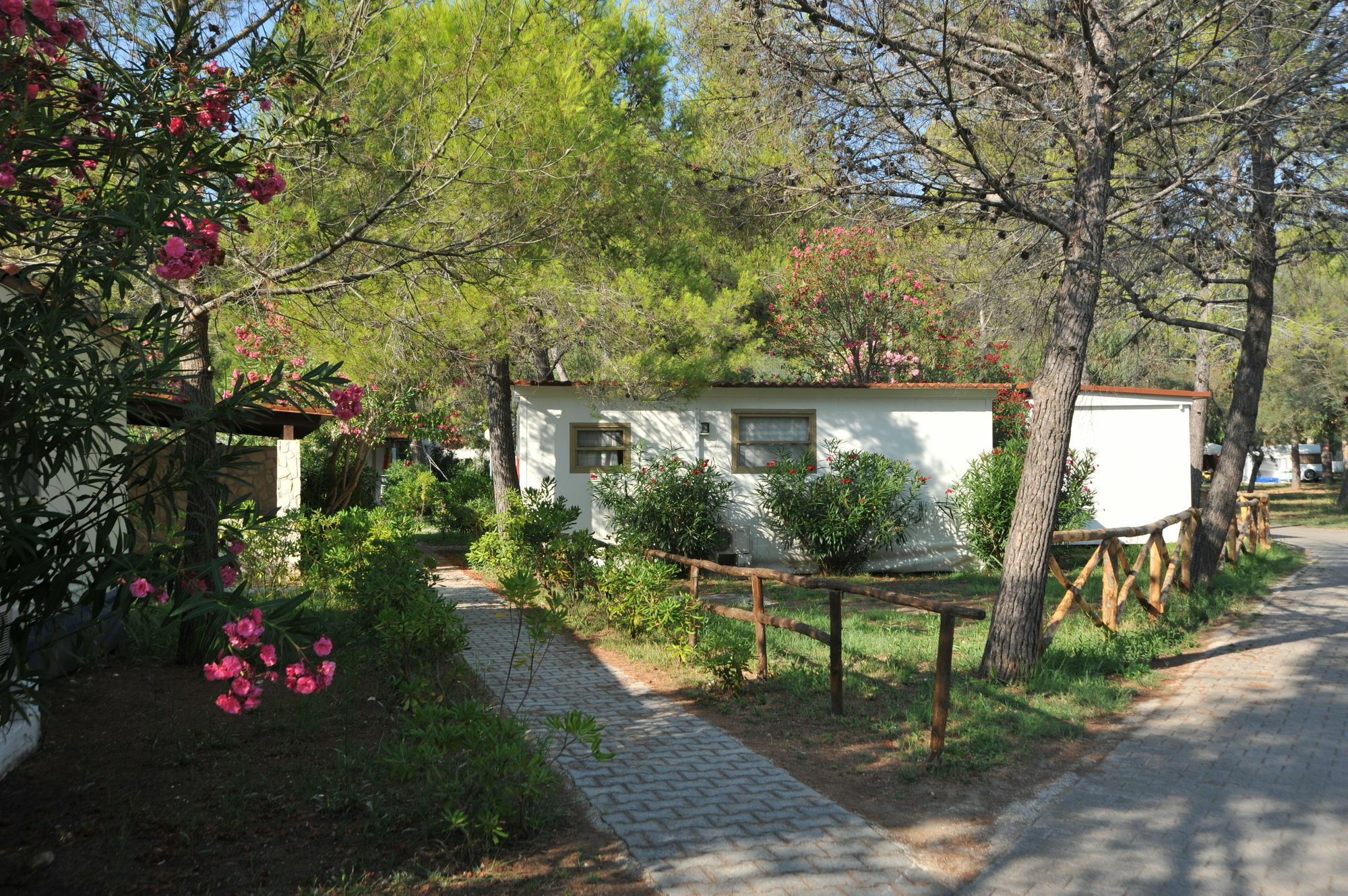 Villaggio Capo Vieste Esterno foto