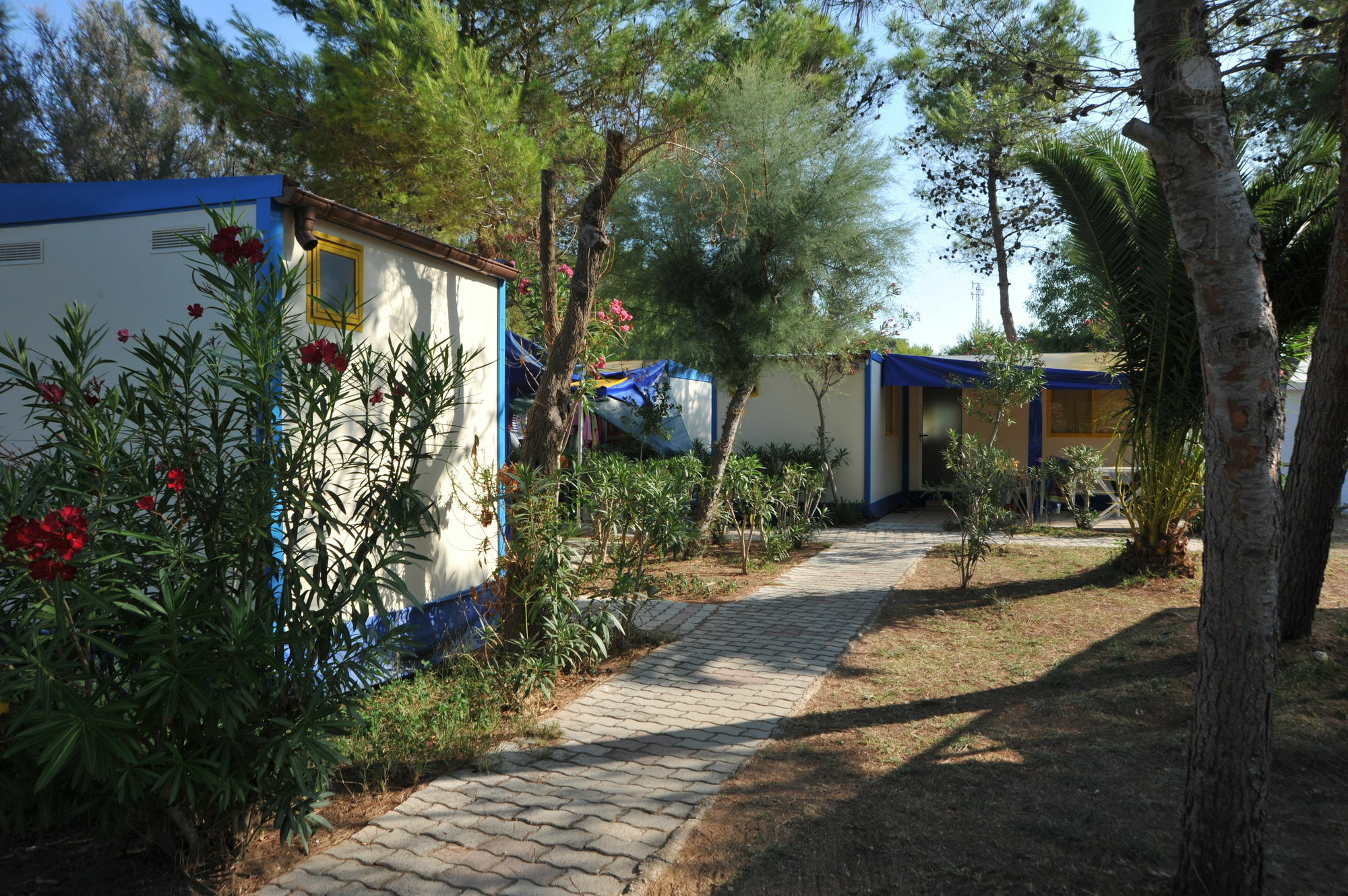 Villaggio Capo Vieste Esterno foto